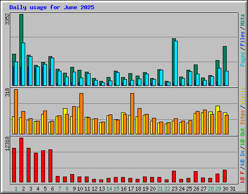 Daily usage for June 2025