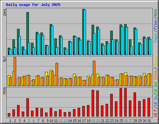 Daily usage for July 2025