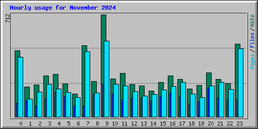 Hourly usage for November 2024