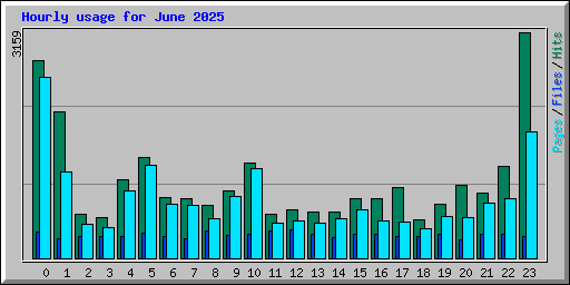 Hourly usage for June 2025