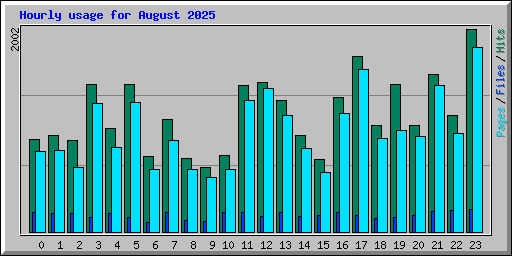Hourly usage for August 2025