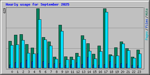 Hourly usage for September 2025