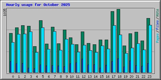 Hourly usage for October 2025