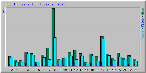 Hourly usage for November 2025