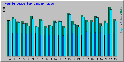 Hourly usage for January 2026