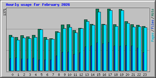 Hourly usage for February 2026