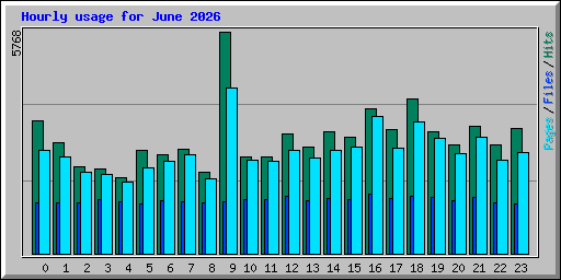 Hourly usage for June 2026