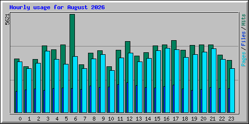 Hourly usage for August 2026
