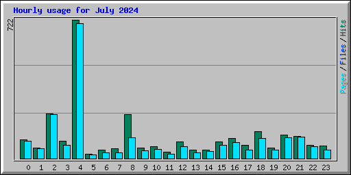 Hourly usage for July 2024