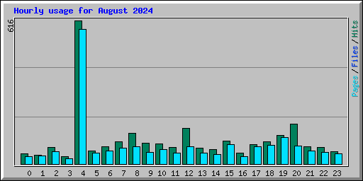 Hourly usage for August 2024