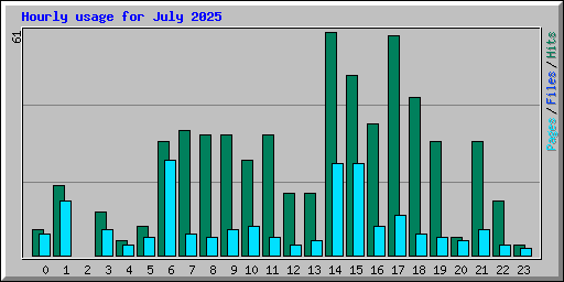 Hourly usage for July 2025