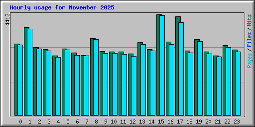 Hourly usage for November 2025
