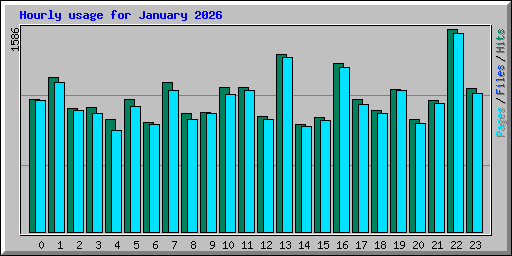 Hourly usage for January 2026